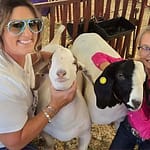 My County Link @ the fair – Showing Goats