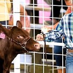 2026 Darke Co. Livestock Celebration and Sale