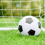Union City soccer shuts out Twin Valley South