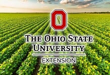 Weekly OSU Extension Newsletter: June 6, 2026