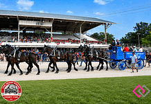 Great Darke County Fair Celebrates Armed Forces Day