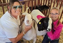 My County Link @ the fair – Showing Goats