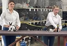 2026 Darke Co Jr Fair Scholarships