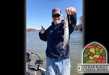 Greg A. Kimmel (60)