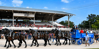 Great Darke County Fair Celebrates Armed Forces Day