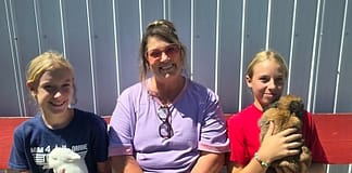 My County Link @ the fair – Showing Rabbits