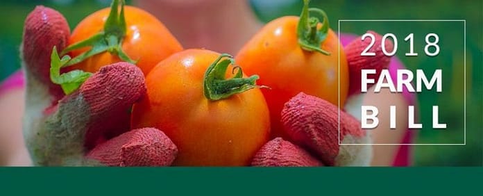fsa_farmbill_header (002)