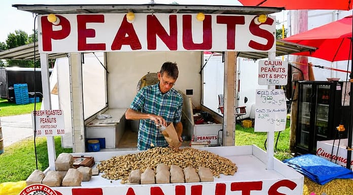 Century-old peanut tradition continues at Darke County Fair