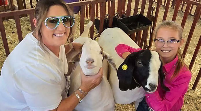 My County Link @ the fair – Showing Goats