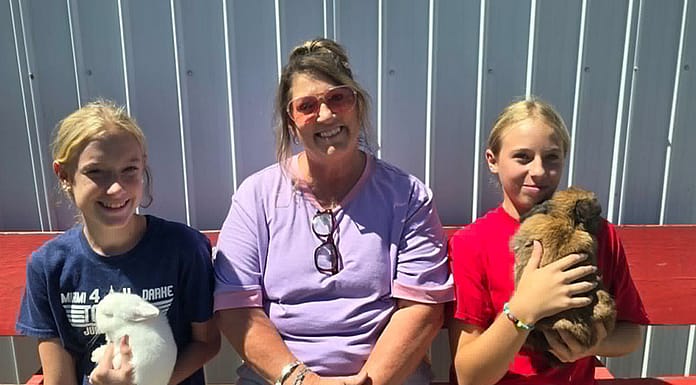 My County Link @ the fair – Showing Rabbits