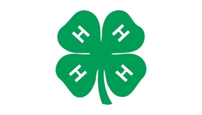 4h
