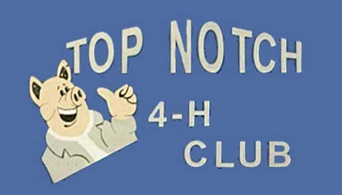 top notch 4h feature