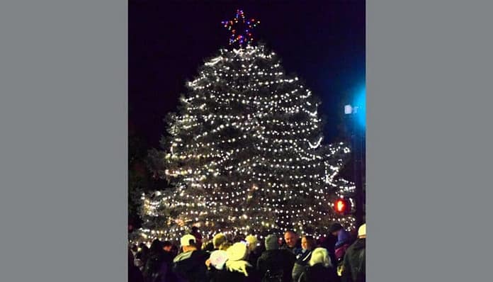 lit tree 2023