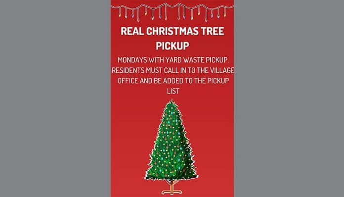 westmiltontreepickup