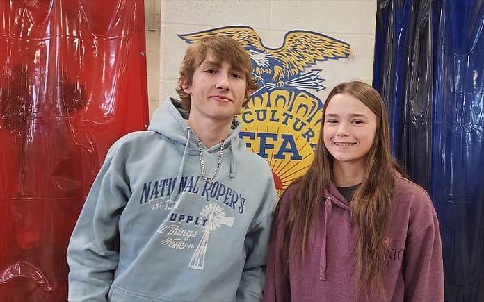 mv ffa mom