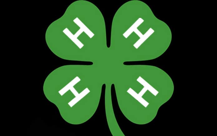 4h club feature