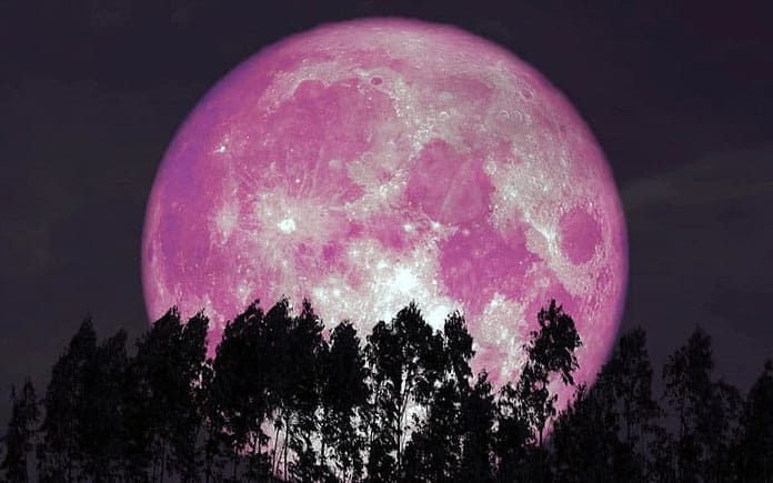 strawberry-moon-2024