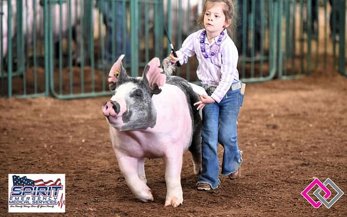 piggy