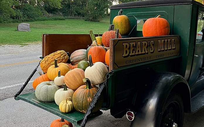 pumpkins-truck
