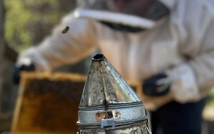 beekeeper