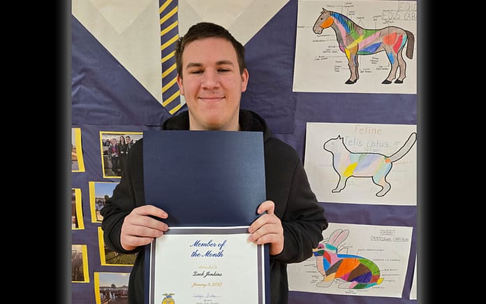 ansonia-ffa021225