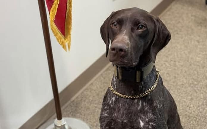 eaton-pd-k9