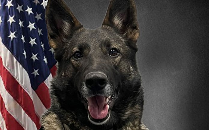 eaton-pd-k92