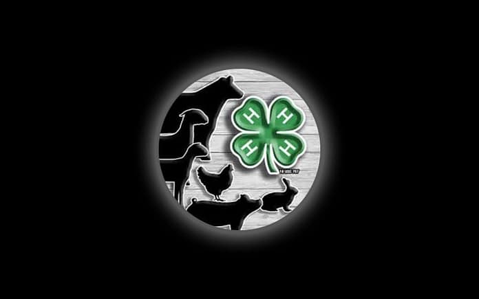 4h-logo