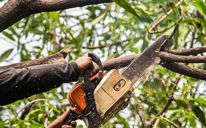 tree-trim