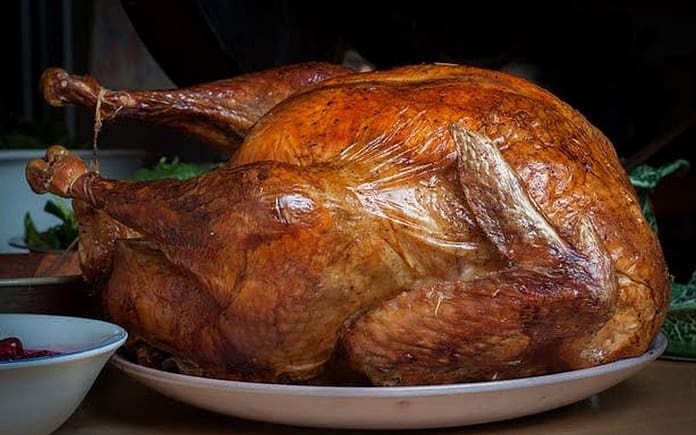 turkey