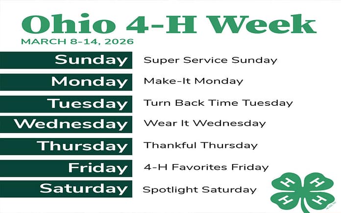4h-week
