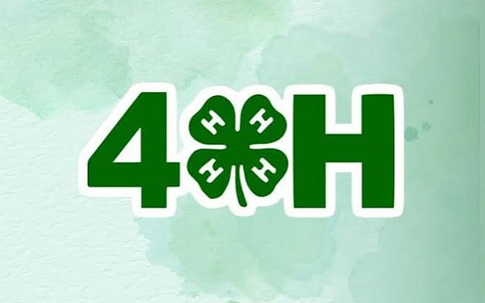 4H-GREEN