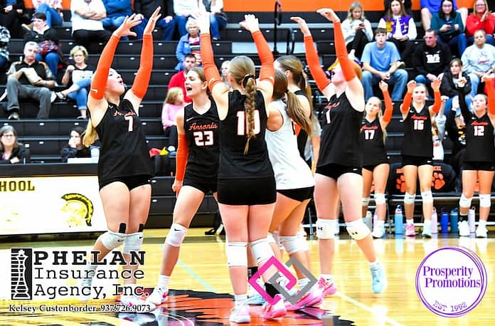 Ansonia VB Team