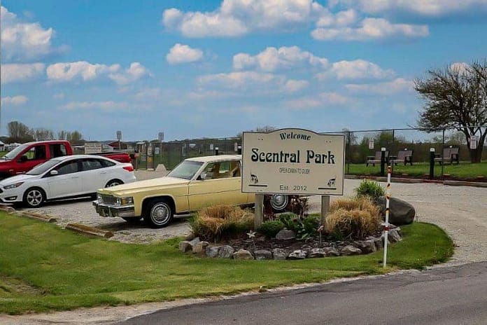 10years scentral park-dogpark