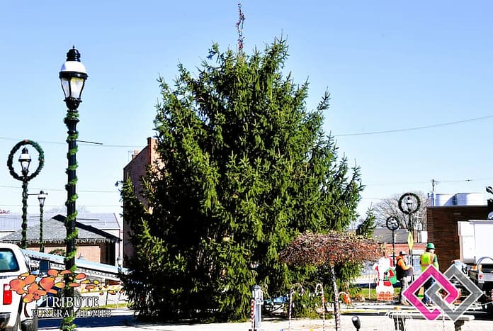 Christmas Tree Downtown Greenville 2025 (5)