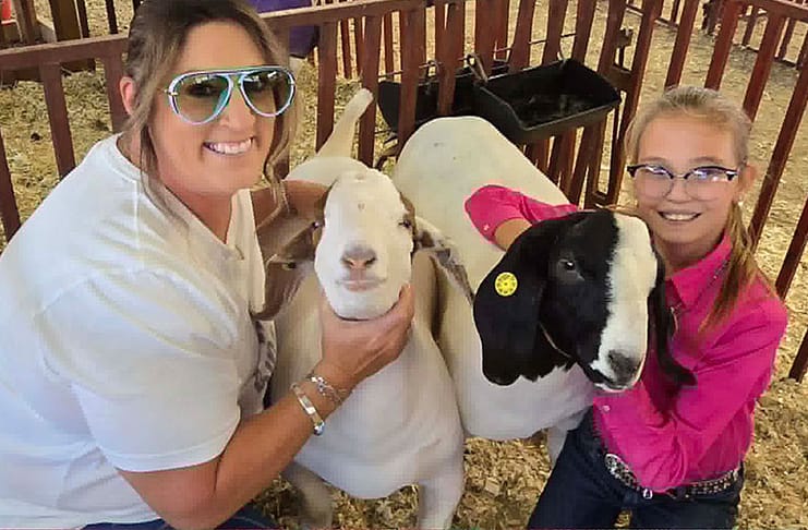 My County Link @ the fair – Showing Goats